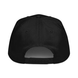 5 panel cap